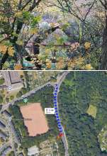 Bild zu gemeldetem Anliegen vom *2025-11-07 09:27:44