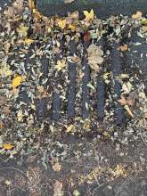 Bild zu gemeldetem Anliegen vom *2025-11-09 17:05:56