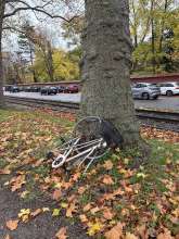 Bild zu gemeldetem Anliegen vom *2025-11-01 12:33:33