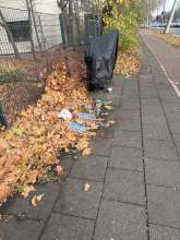 Bild zu gemeldetem Anliegen vom *2025-11-24 15:19:36