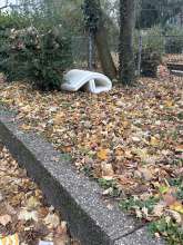 Bild zu gemeldetem Anliegen vom *2025-11-26 09:35:54