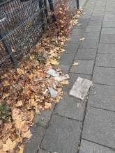 Bild zu gemeldetem Anliegen vom *2025-11-27 10:33:28