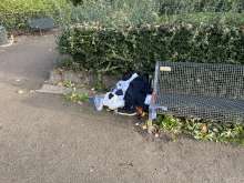 Bild zu gemeldetem Anliegen vom *2025-11-05 06:27:46