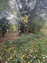 Bild zu gemeldetem Anliegen vom *2025-11-05 09:27:17