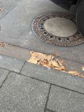 Bild zu gemeldetem Anliegen vom *2025-11-13 13:33:33