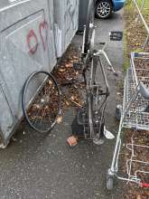 Bild zu gemeldetem Anliegen vom *2025-11-15 12:28:14