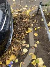 Bild zu gemeldetem Anliegen vom *2025-11-03 12:30:37