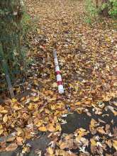 Bild zu gemeldetem Anliegen vom *2025-11-13 16:34:35