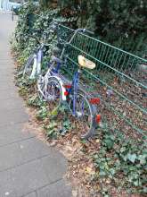 Bild zu gemeldetem Anliegen vom *2025-12-19 20:51:14