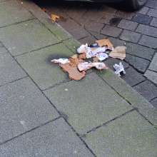 Fäkalien vor der Schwarzen Mutter Gottes vom *2025-12-30 14:13:43