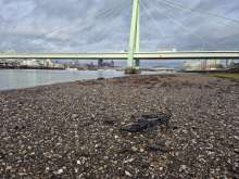 Bild zu gemeldetem Anliegen vom *2025-12-08 15:31:20