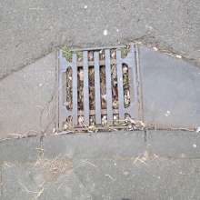 Bild zu gemeldetem Anliegen vom *2025-12-29 12:29:52