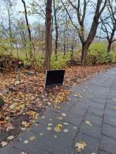 Bild zu gemeldetem Anliegen vom *2025-12-02 12:36:00