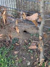 Bild zu gemeldetem Anliegen vom *2025-12-14 12:38:01