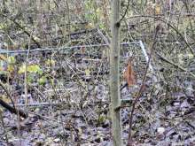 Bild zu gemeldetem Anliegen vom *2025-12-10 12:28:39