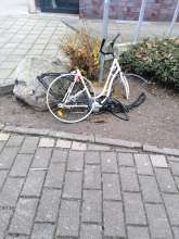 Bild zu gemeldetem Anliegen vom *2025-12-13 13:20:36