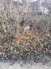 Bild zu gemeldetem Anliegen vom *2025-12-18 13:21:55