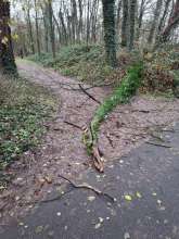 Bild zu gemeldetem Anliegen vom *2025-12-09 09:41:46