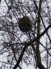 Bild zu gemeldetem Anliegen vom *2025-12-10 06:34:52