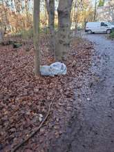 Bild zu gemeldetem Anliegen vom *2025-12-11 21:44:55