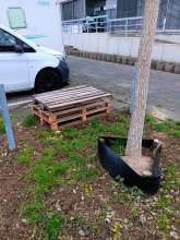 Bild zu gemeldetem Anliegen vom *2025-12-14 09:28:41