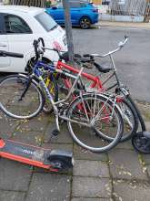 Bild zu gemeldetem Anliegen vom *2025-12-14 11:23:19