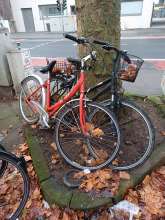 Bild zu gemeldetem Anliegen vom *2025-12-21 09:34:55