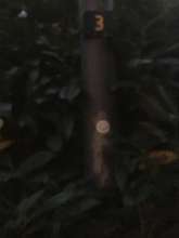 Bild zu gemeldetem Anliegen vom *2025-12-22 15:34:58