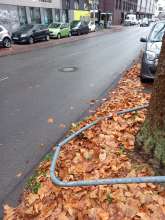 Bild zu gemeldetem Anliegen vom *2025-12-05 19:43:55