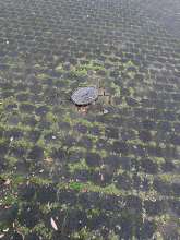 Bild zu gemeldetem Anliegen vom *2025-12-09 03:27:52