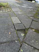 Bild zu gemeldetem Anliegen vom *2025-12-01 09:33:06