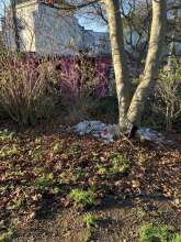 Bild zu gemeldetem Anliegen vom *2025-12-15 21:29:50