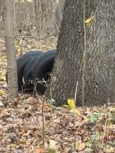 Bild zu gemeldetem Anliegen vom *2025-12-06 09:27:37