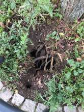 Bild zu gemeldetem Anliegen vom *2025-12-16 12:35:06