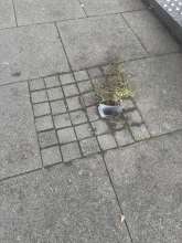 Bild zu gemeldetem Anliegen vom *2025-12-18 09:32:31