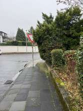 Hecke blockiert den Weg