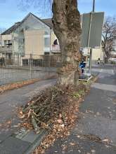 Bild zu gemeldetem Anliegen vom *2025-12-07 15:27:56