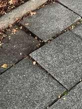 Bild zu gemeldetem Anliegen vom *2025-12-09 17:06:47