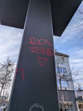 vera.nevet@gmail.com