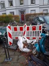 Bild zu gemeldetem Anliegen vom *2025-12-30 15:31:56