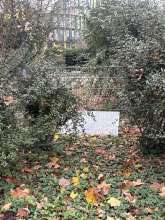 Bild zu gemeldetem Anliegen vom *2025-12-08 14:31:23