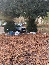 Bild zu gemeldetem Anliegen vom *2025-12-09 15:07:30