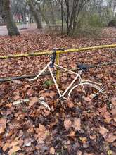 Bild zu gemeldetem Anliegen vom *2025-12-02 09:31:51