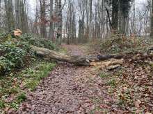 Bild zu gemeldetem Anliegen vom *2025-12-20 11:52:34