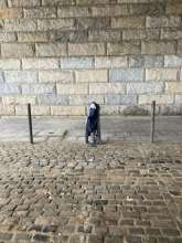 Bild zu gemeldetem Anliegen vom *2025-12-04 10:19:56