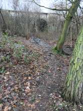 Bild zu gemeldetem Anliegen vom *2026-01-16 14:28:30