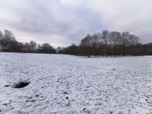 Bild zu gemeldetem Anliegen vom *2026-01-11 12:33:54