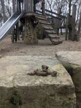 Bild zu gemeldetem Anliegen vom *2026-01-16 09:34:28