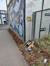 Bild zu gemeldetem Anliegen vom *2026-01-20 12:32:20