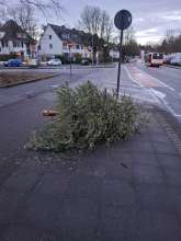 Bild zu gemeldetem Anliegen vom *2026-01-09 06:40:45